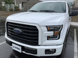 AlphaRex 15-17 Ford F150 PRO-Series Halogen Projector Headlights Jet Black