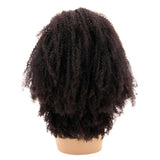 Afro Kinky Curly 4x4 Transparent Lace 100% Human Hair Closure Wig