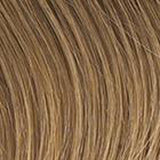 Clip in Human Hair Highlight Extension 18'' BY hairdo
