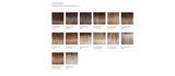 GAME CHANGER - Human Hair Topper (Mono Top) BY Raquel Welch