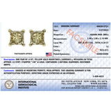 IGI Certified 14K Yellow Gold 1/4 Cttw Princess-Cut Diamond Solitaire Stud Earrings