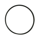 eSpring Filter Bracket O-Ring