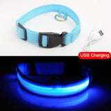 LED Dog Collar - Anti-Lost Rechargeable Safety Light-Up Collar for Night Walks