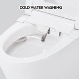 1/1.28 GPF Smart Compact Dual Flush Tankless Toilet Bidet Combo With Self-Cleaning Nozzle And Foot Sensor Flush (SAK58021)