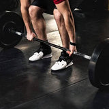 1-Pair: Bumper Plates 2-Inch Bumpers Olympic Weight Plate
