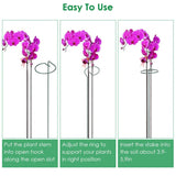 10-Pack: Plant Support Stake