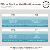 10-Pieces: Disposable KN95 Mask FFP