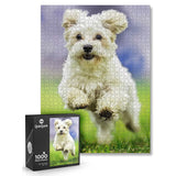 1000-Piece: Puzzle for Adults/Teens with Puzzle Saver Kit