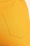 Plus Size High Waist Solid Stretch Short Pants