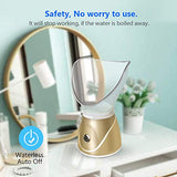 Beauty steaming face instrument