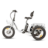 NEW-TRIKE 2.0
