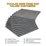 12-Packs: AGPtEK Acoustic Absorption Noise Cancellation Panels