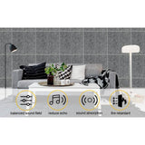 12-Packs: AGPtEK Acoustic Absorption Noise Cancellation Panels