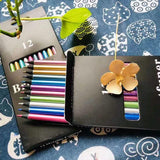 12-Piece: Metallic Colored Pencils