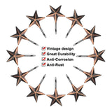 12-Pieces: Anti-Rust Star Decorative Shower Curtain Hooks