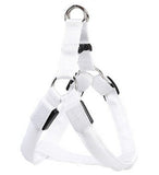 Pet Products LED Luminous Dog Chest Strap Large Dog Luminous Dog Leash