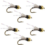 Beadhead Black 3 Dollar Dip Serendipity Nymph - 6 Flies Size 18
