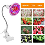 12W LED 360° Rotatable Plant Grow Light with Desk Clip