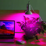 12W LED 360° Rotatable Plant Grow Light with Desk Clip
