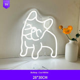 Acrylic Neon LED Decor For Kids Rooms