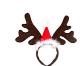 Christmas pet cat dog hat