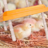 15W Chicken Brooder Heater with Adjustable  Height Angle Max 131℉
