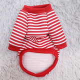 Cat Dog Pet Clothes for Small Dog Cute Sweater Spring Cat Cute Teddy Bear