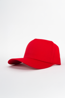 Otto Cap 5 Panel Hat