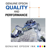 EPSON 252 DURABrite Ultra Ink Standard Capacity Black Dual Cartridge Pack (T252120-D2) Works with WorkForce WF-3620, WF-3640, WF-7110, WF-7610, WF-7620, WF-7710, WF-7720, WF-7210