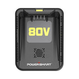 80V Charger DB2208