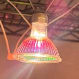 12V 50W Halogen White Light MR16 Lamp