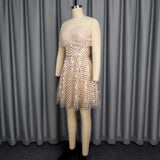 Top Evening Dress Off Shoulder Party Dress