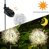 2-Pack: Outdoor Solar Dandelion Lawn Lights