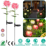 2-Pack: Solar LED Chrysanthemum Lights