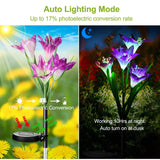 2-Pieces: Solar Garden Lights Outdoor