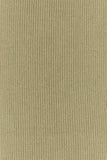 Burberry Unisex Khaki Cashmere Scarf