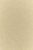 Prada Women Sand Silk Blend Scarf