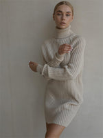 Long Sleeve Turtleneck Sweaters Dress