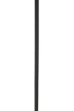Lanvin Women Cintura