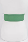 Satin Metallic Elastic Fashion Wide Belt