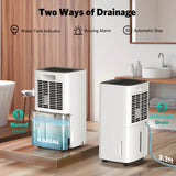 24 Pints Dehumidifier D4212B