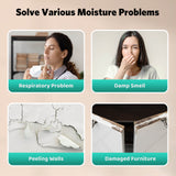 24 Pints Dehumidifier D4212B