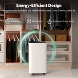 24 Pints Dehumidifier D4212B