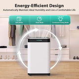 24 Pints Dehumidifier D4212B