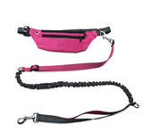 Dog collar without hands