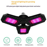 Red And Blue Spectrum Tri-Fold Plant Grow Light