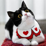 Pet collar