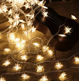 LED Star Light String Outdoor Holiday Decoration 3 M