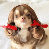 Pet Headdress Pet Wig Sheath
