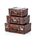 The Voyager Hand Case
